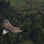 The real work behind high-performing teams